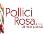 Pollice Rosa – piante di donne per aiutare donne in difficoltà