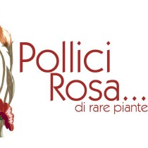 Pollice Rosa – piante di donne per aiutare donne in difficoltà